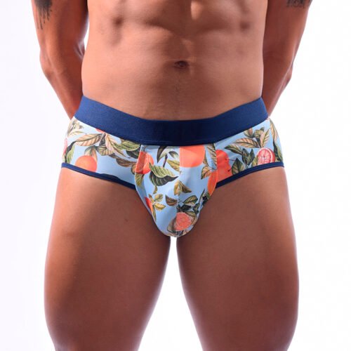 Interior Brief Frutas