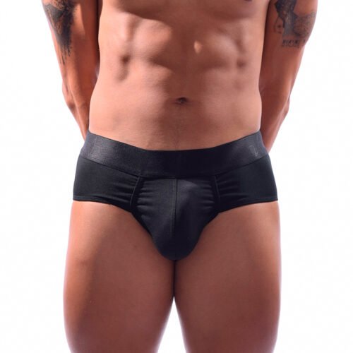 Interior Brief Negro