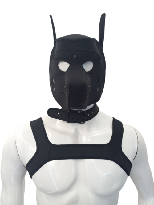 Mascara Perro, Arnes y Collar Negro