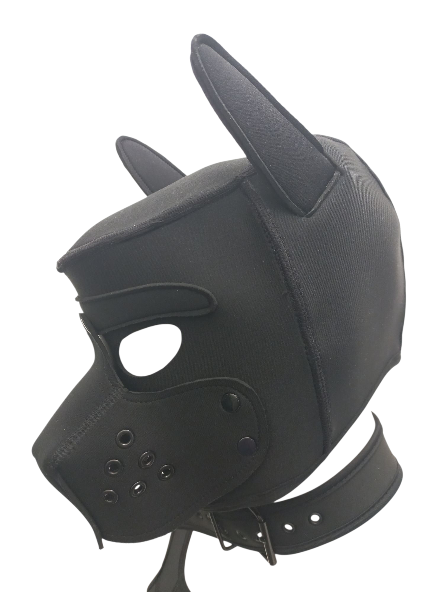 Mascara Perro, Arnes y Collar Negro - Imagen 7