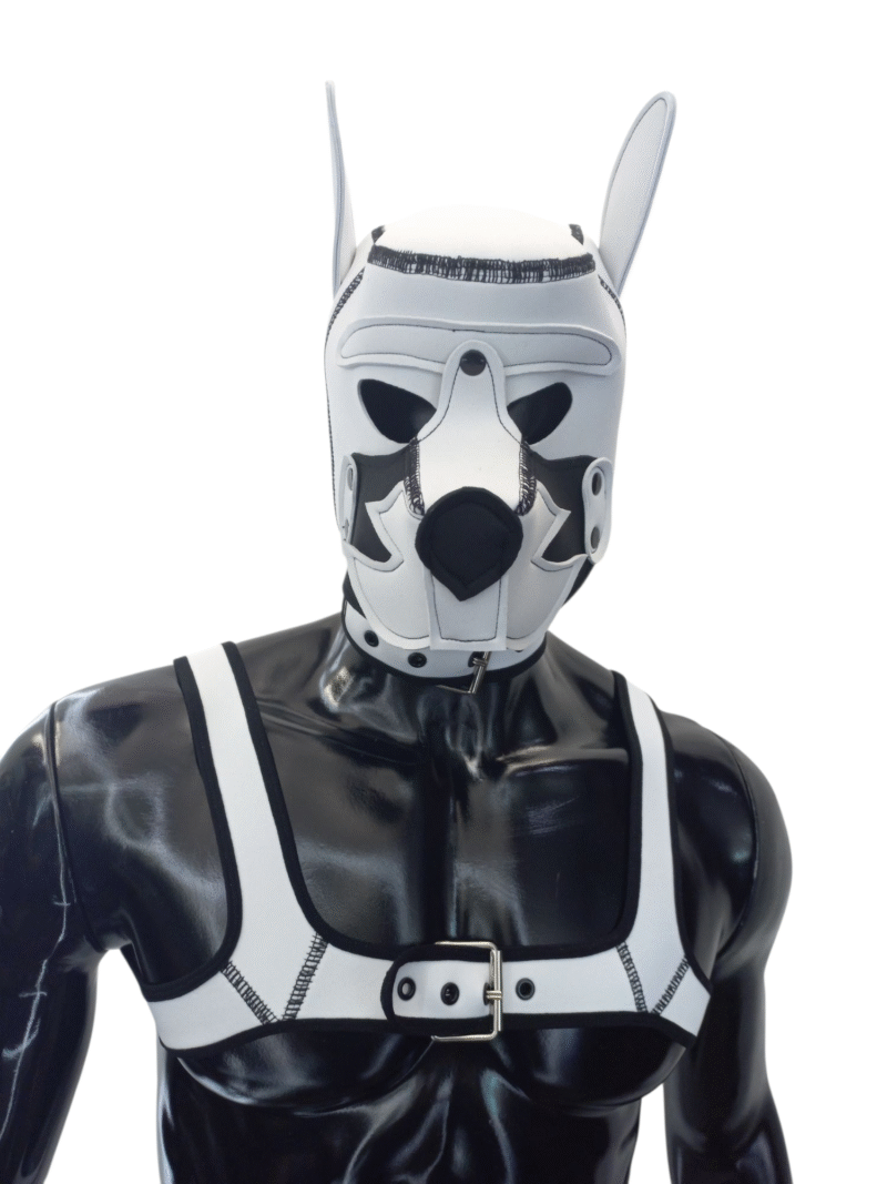 Mascara Perro, Arnes y Collar Blanco