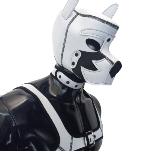 Mascara Perro, Arnes y Collar Blanco