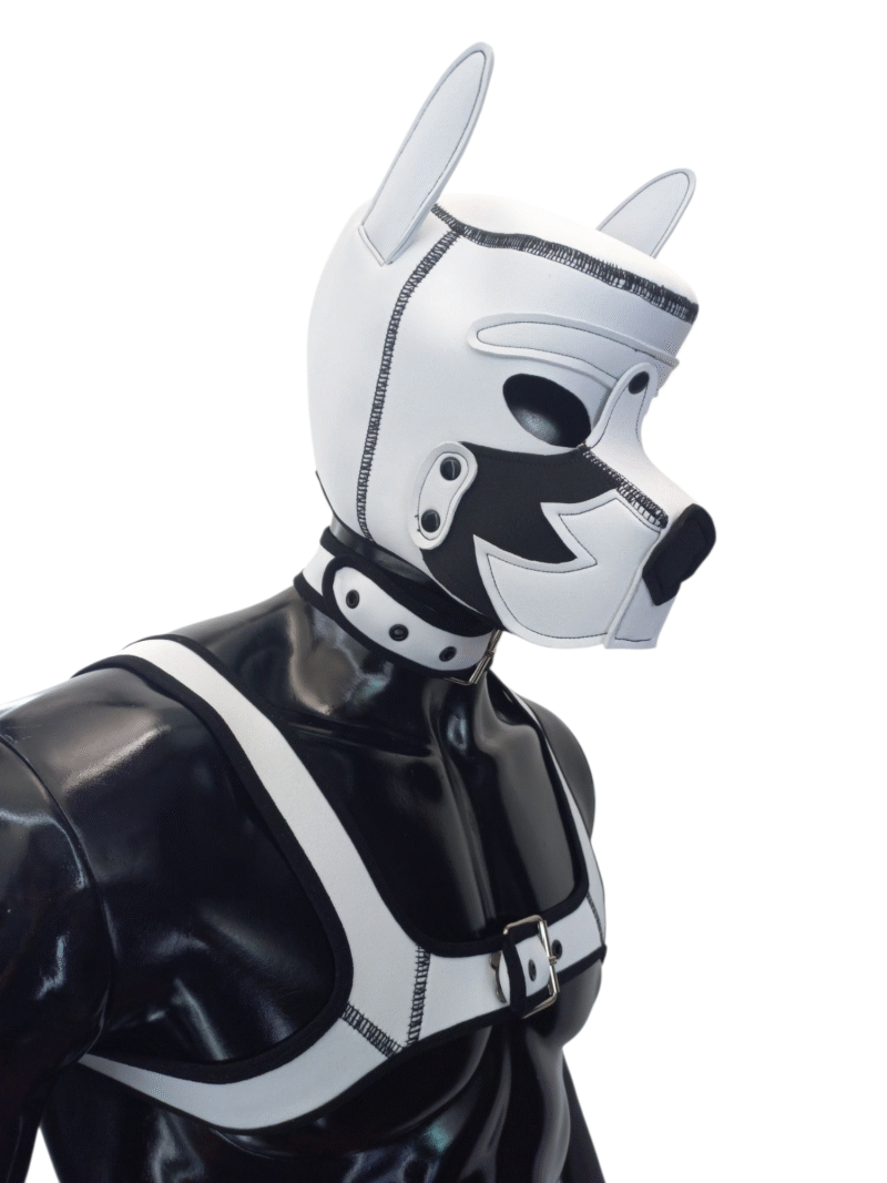 Mascara Perro, Arnes y Collar Blanco - Imagen 2