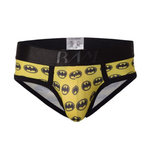Interior Brief Superheroes
