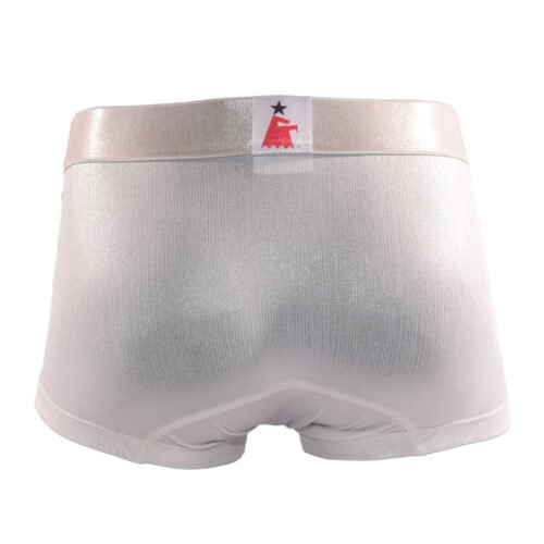 Boxer Rayas Plata