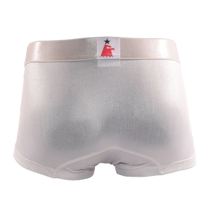 Boxer Rayas Plata - Imagen 2