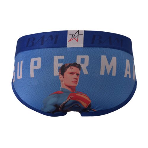 Interior Brief Superheroes