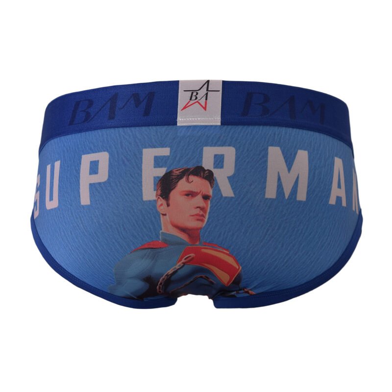 Interior Brief Superheroes - Imagen 2