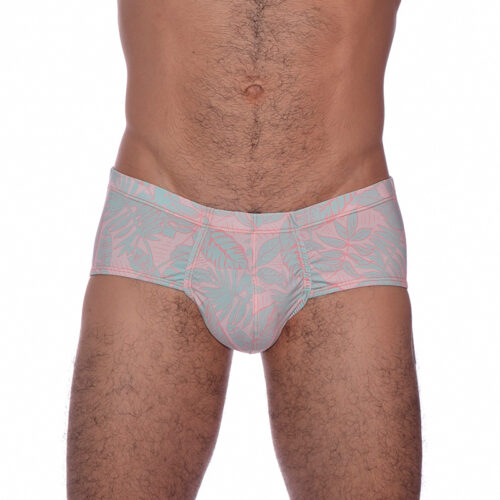 Interior Brief Hojas Pastel