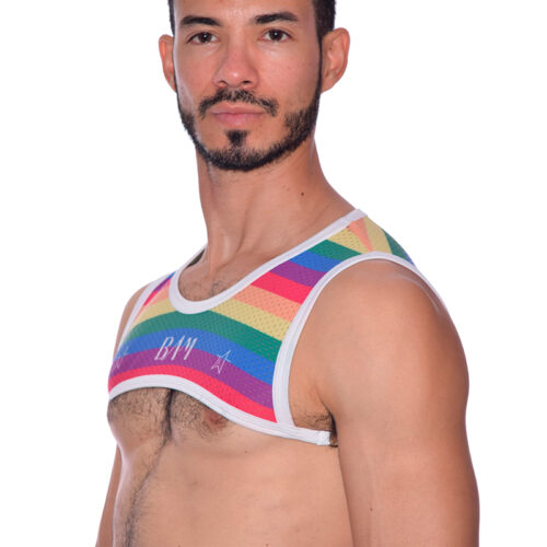 Crop Top Malla Pride
