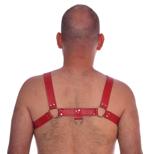Arnés y Collar en Cuero Rojo