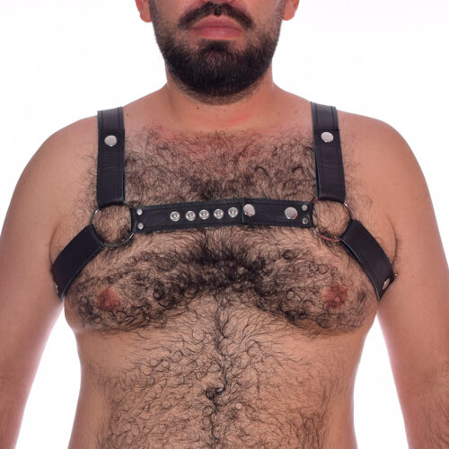 Arnés en Cuero Negro Broches Plateados