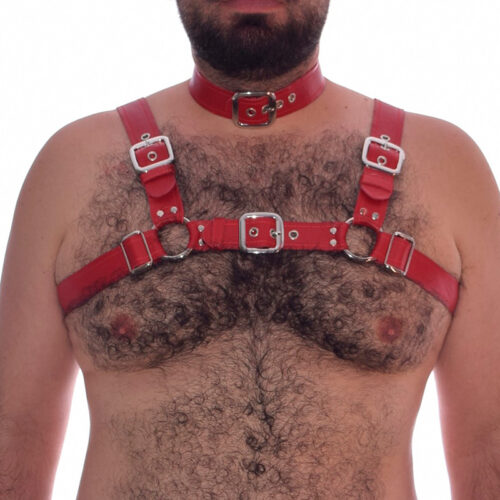 Arnés y Collar en Cuero Rojo