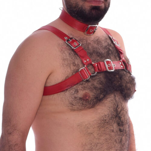Arnés y Collar en Cuero Rojo