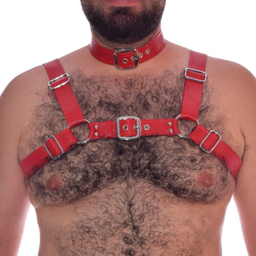 Arnés y Collar en Cuero Rojo