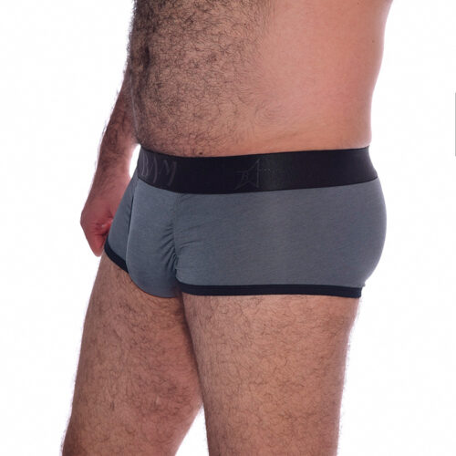 Boxer Gris Corto
