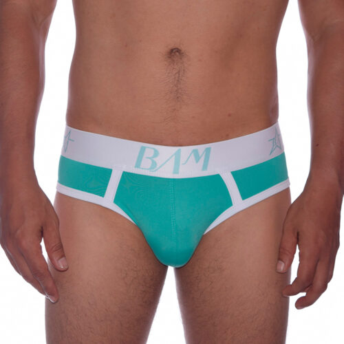 Interior Brief Verde